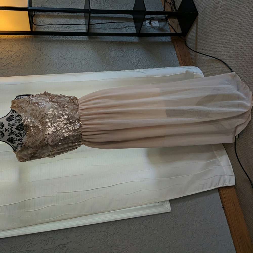 Pearl Blue Label elegsnt maxi stle dress